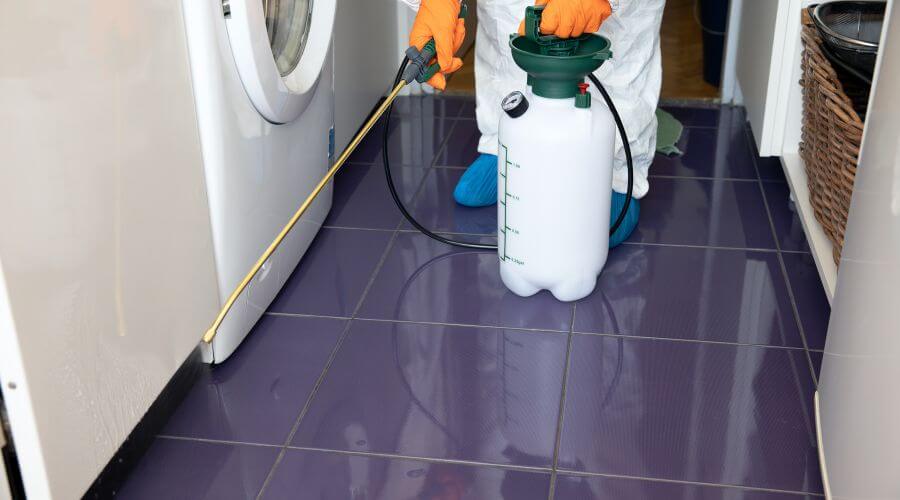 Why choose North Brookfield Bed Bug Heat Treatment for bed bug heat treatment in North Brookfield